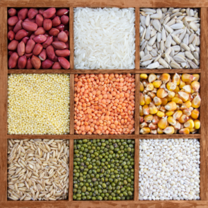 Grains and pulses