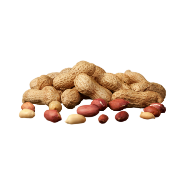 Groundnut (Peanuts)