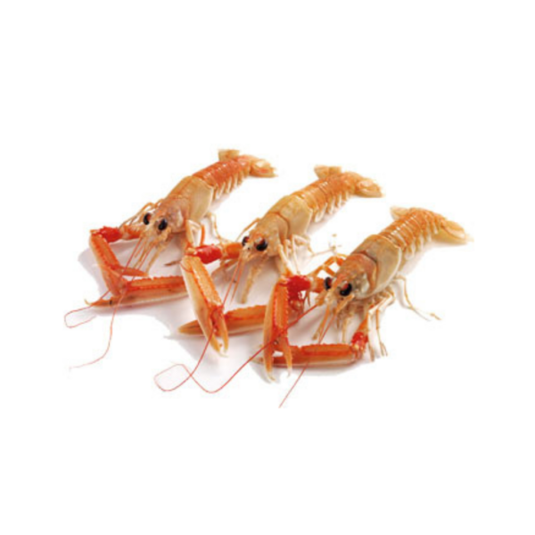 Langoustine