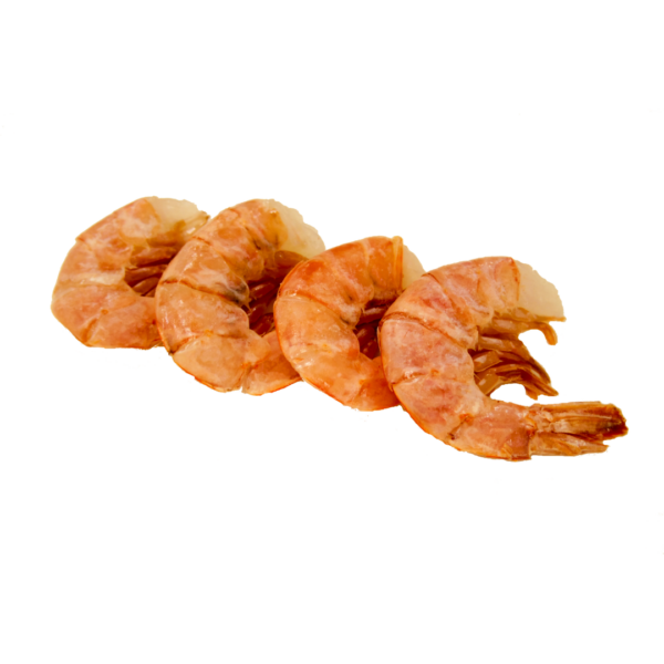 Shrimp